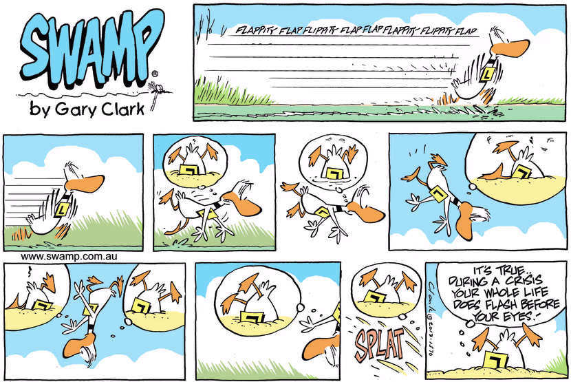 Swamp Cartoon - A Moment in Ding’s Life ComicSeptember 22, 2013