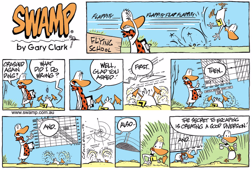 Swamp Cartoon - Crashed Again Ding ComicFebruary 23, 2014