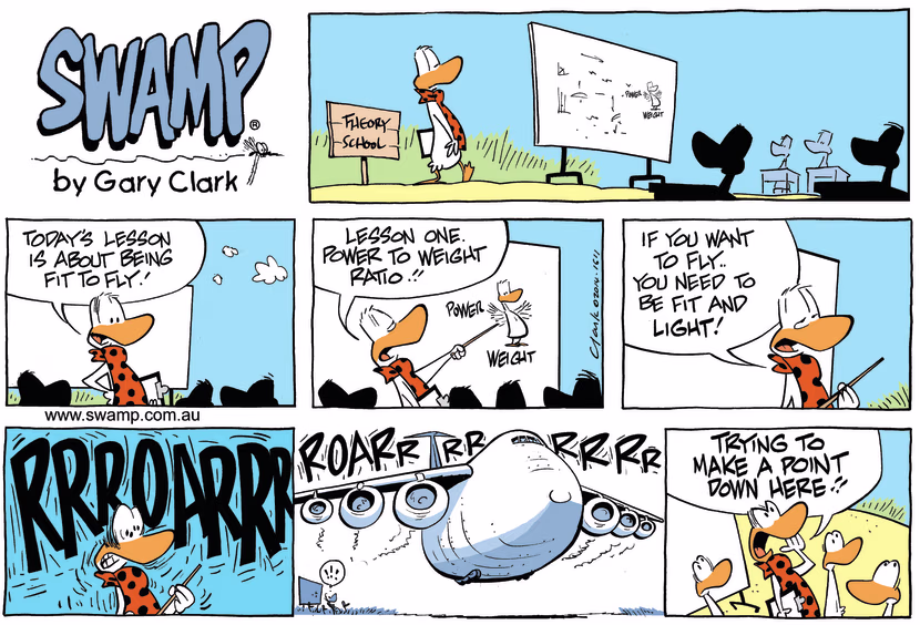Swamp Cartoon - Flight Instructor Briefing ComicAugust 17, 2014