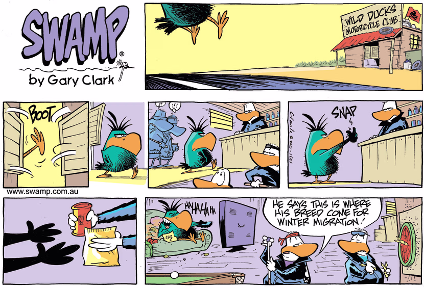 Swamp Cartoon - Bludgerigar Winter Migration ComicJune 28, 2015