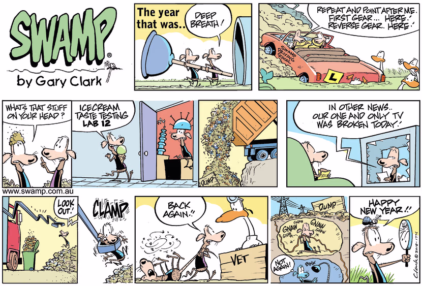 Swamp Cartoon - Swamp Rats Reflection ComicJanuary 7, 2018