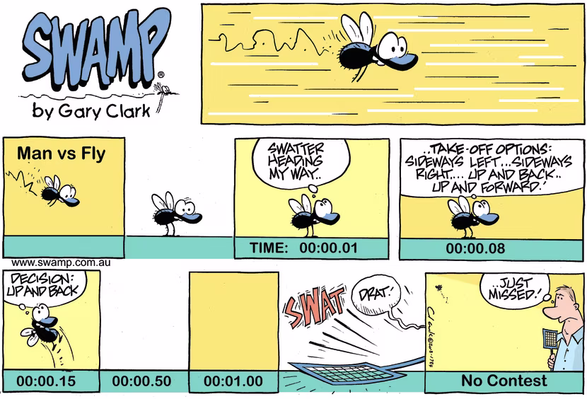 Swamp Cartoon - Swamp Fly Timing ComicMarch 4, 2018