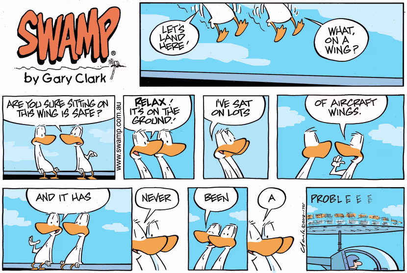 The Aviator Ducks decide to rest and relax by landing on an aircraft wing while it's on the ground. Swamp Cartoon - Landing on a WingDecember 15, 2024