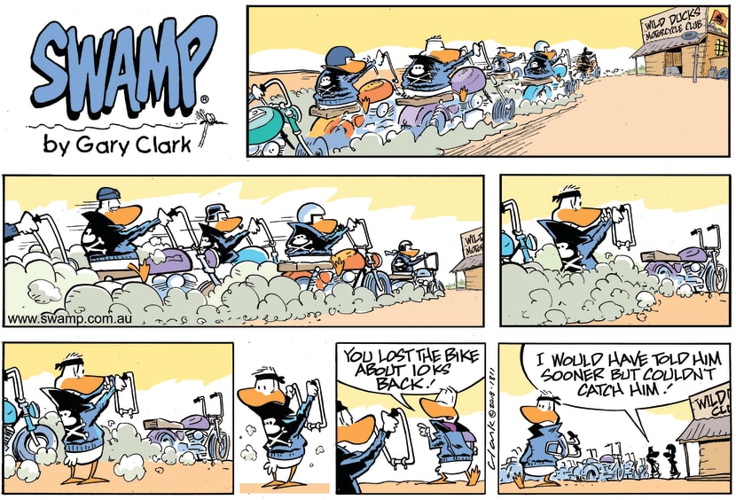 Swamp Cartoon - Wild Duck Lost ComicSeptember 9, 2018