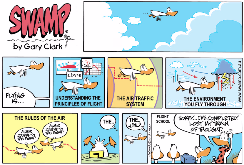 Swamp Cartoon - Flight Theory Instructor Befuddled ComicMarch 10, 2019