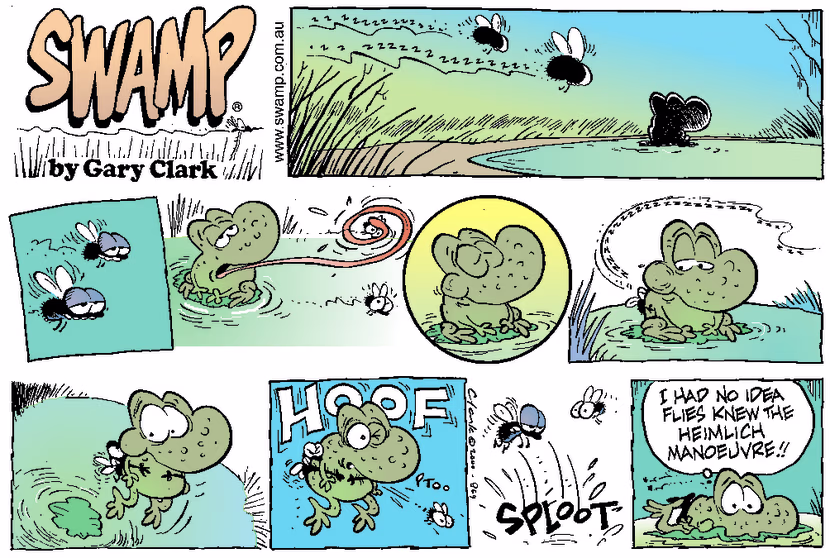 Swamp Cartoon - Protective FlyMarch 5, 2000