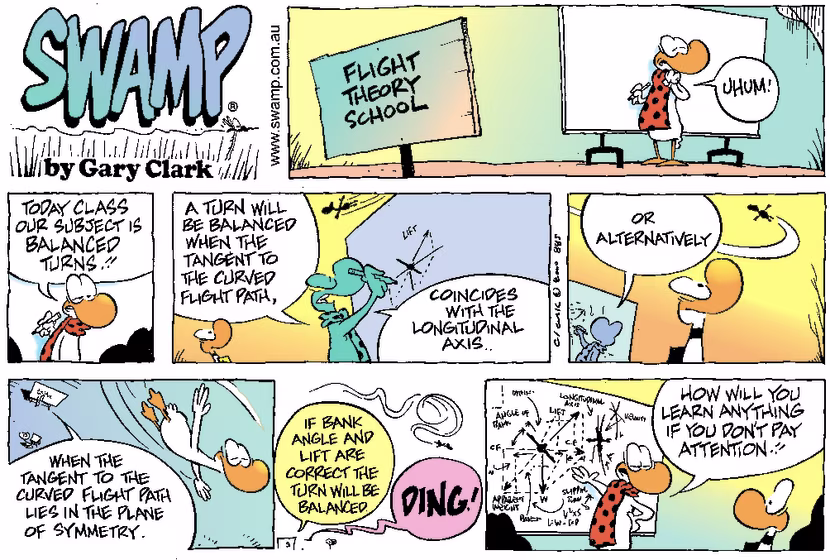 Swamp Cartoon - Flight Theory Lesson ComicJune 25, 2000