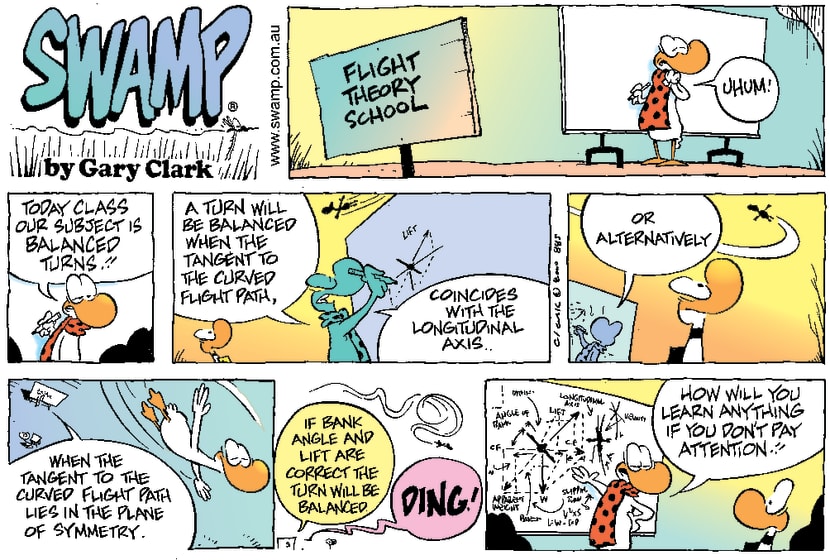 Swamp Cartoon - Flight Theory Lesson ComicJune 25, 2000