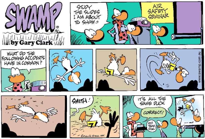 Swamp Cartoon - Air Safety Seminar ComicNovember 2, 2014