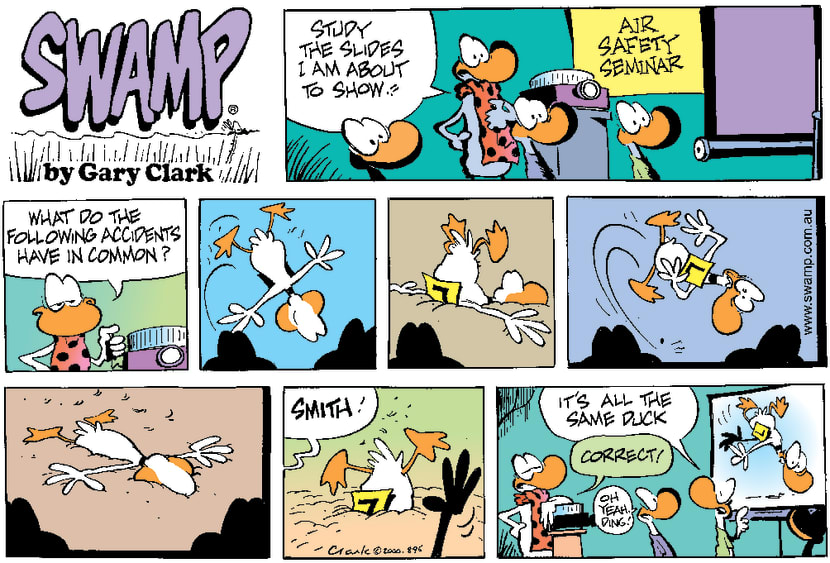 Swamp Cartoon - Air Safety SeminarSeptember 10, 2000