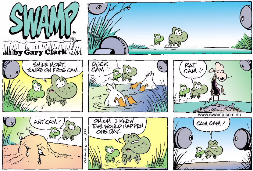 Swamp Cartoon - Swamp CamJune 17, 2001