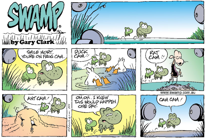 Swamp Cartoon - Swamp CamJune 17, 2001