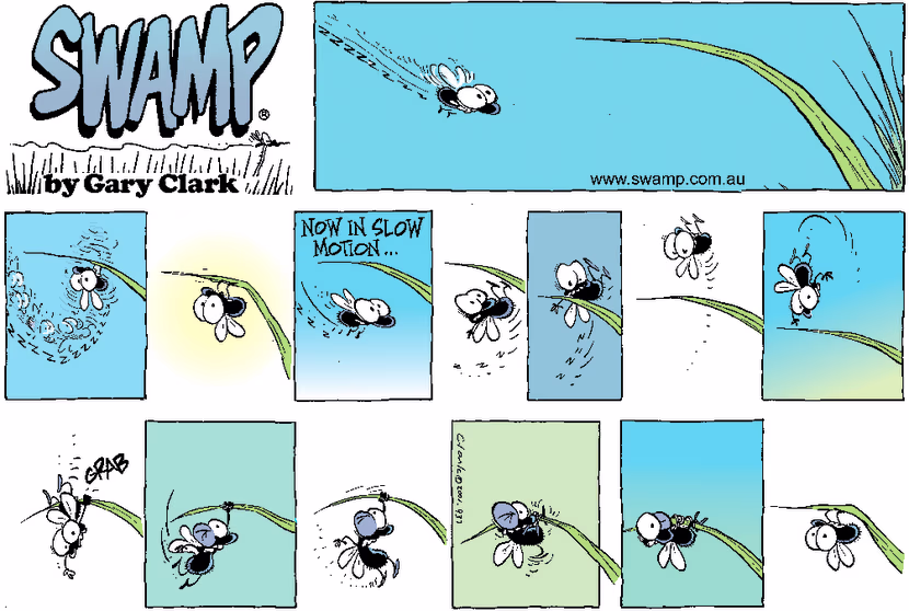 Swamp Cartoon - Flying TimesJune 24, 2001