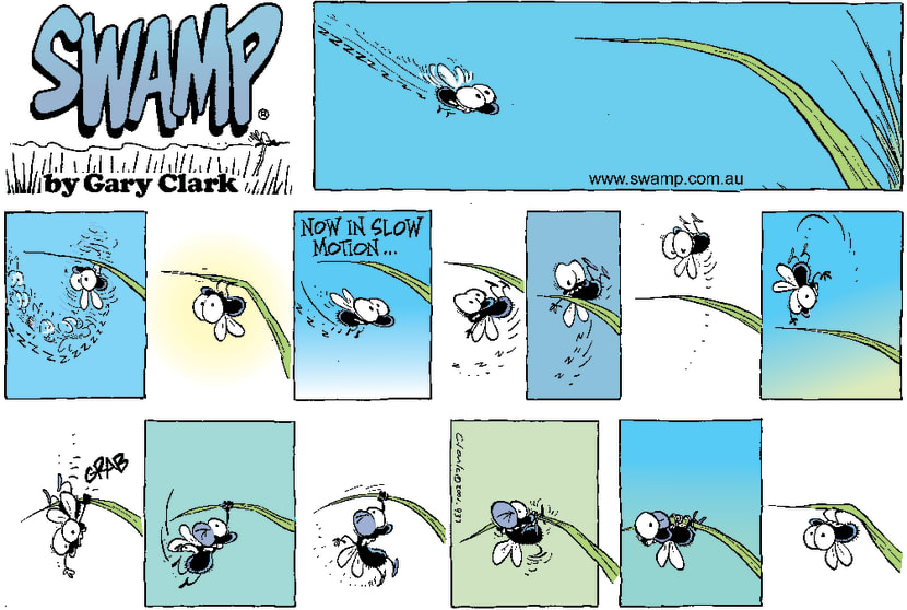 Swamp Cartoon - Flying TimesJune 24, 2001