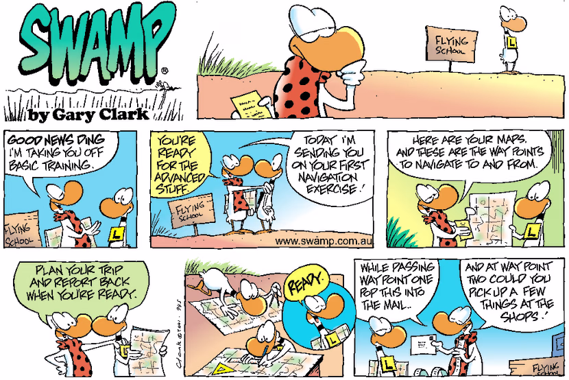 Swamp Cartoon - Advanced Training