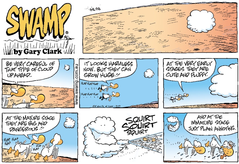 Swamp Cartoon - Dangerous Clouds