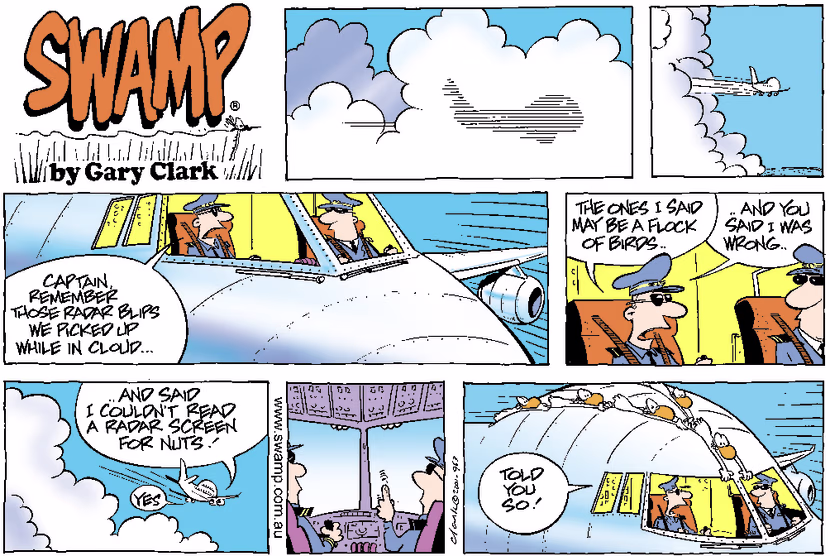 Swamp Cartoon - Radar BlipDecember 23, 2001
