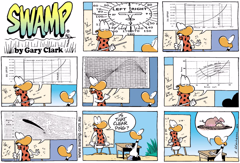 Flight Instructor is giving Ding Duck detailed lesson on all apsects of flight theory. Swamp Cartoon - Flight Instructor Theory LessonJuly 14, 2002