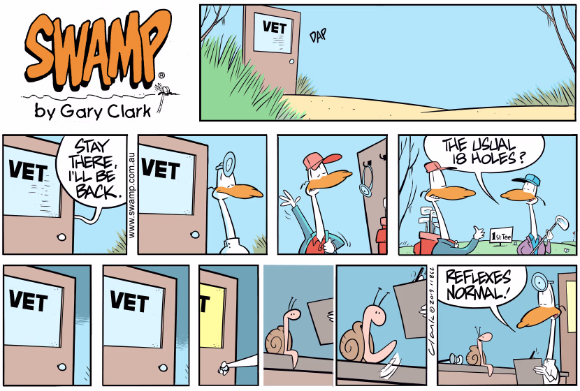 Snail has come to Swamp Vet. The Vet tests Snail's reflexes and discovers they are normal. Swamp Cartoon - Swamp Vet Tests ReflexesSeptember 8, 2019