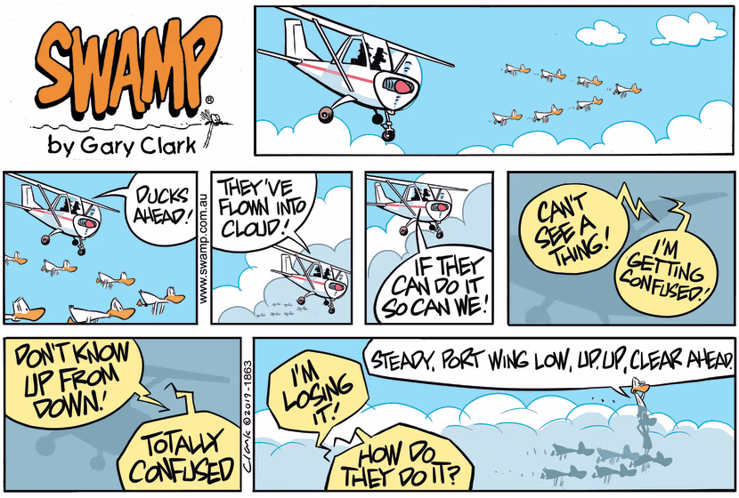 Pilots in light aircraft follow Aviator Ducks into cloud believing if they can do it so can they. Swamp Cartoon - Aviator Ducks Fly into CloudSeptember 15, 2019