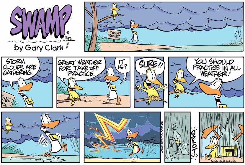 Bird declares to Ding Duck that an electrical storm is great weather to practice take-offs. Swamp Cartoon - Great Weather Take-off PracticeOctober 20, 2019