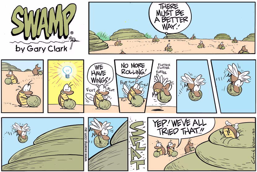 One dung beetle has bright idea of instead of rolling the dung ball that he flies with it. Swamp Cartoon - Dung Beetle MomentJuly 12, 2020