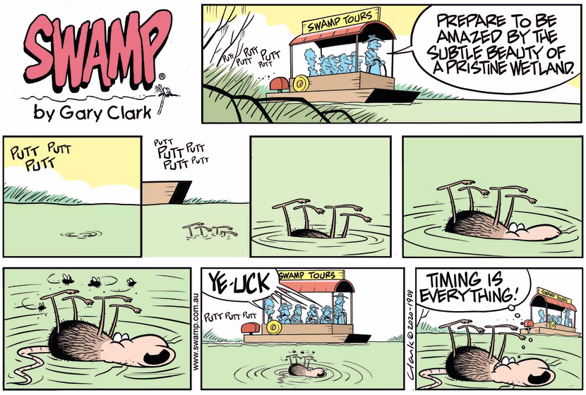 Cheese Rat is floating upside down in the Swamp just as tourists in tour boat pass by. Swamp Cartoon - Timing is EverythingAugust 9, 2020
