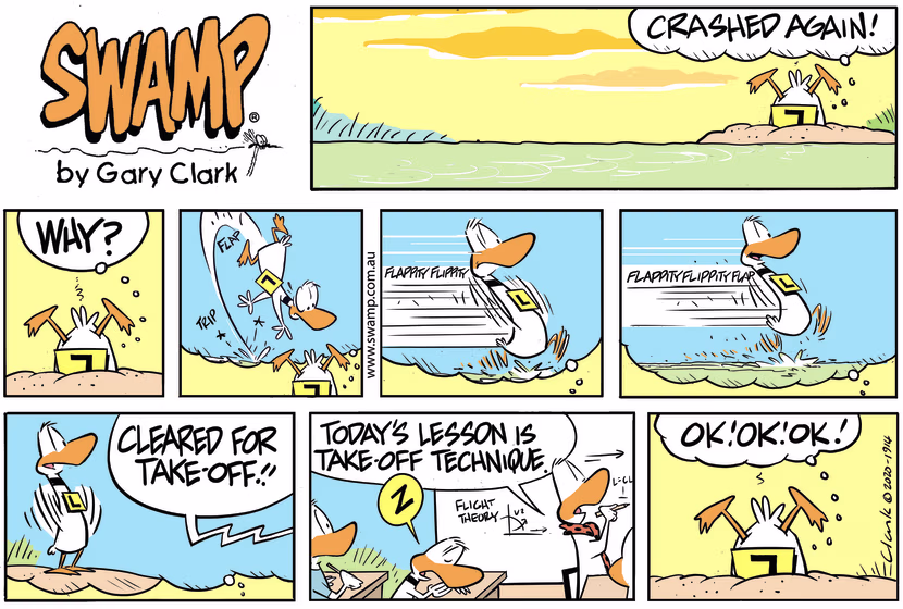 Ding Duck is having a flight theory lesson on the technique for take-off but he's dozing. Swamp Cartoon - Flight Theory Lesson TechniqueAugust 30, 2020