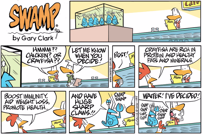 Diner is perusing menu and wondering whether to order chicken or crayfish then he decides. Swamp Cartoon - Crayfish Rich in ProteinSeptember 6, 2020