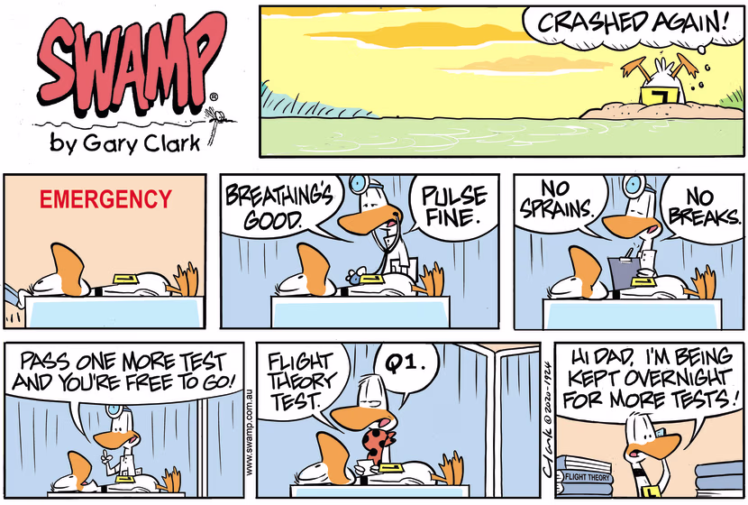 Swamp Cartoon - Ding Duck Emergency DepartmentNovember 8, 2020