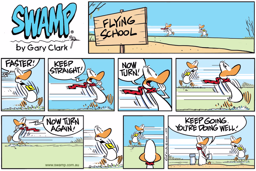 The Flight Instructor is following Ding Duck encouraging him to flap faster for take-off. Swamp Cartoon - Ding Duck Faster Take-offJanuary 17, 2021