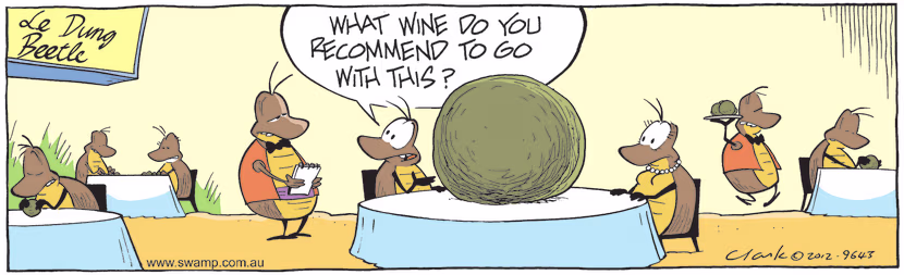 Mr Dung Beetle is on a date night and he asks the waiter what wine he recommends with the dung ball. Swamp Cartoon - Dung Beetle Dinner DateApril 5, 2021
