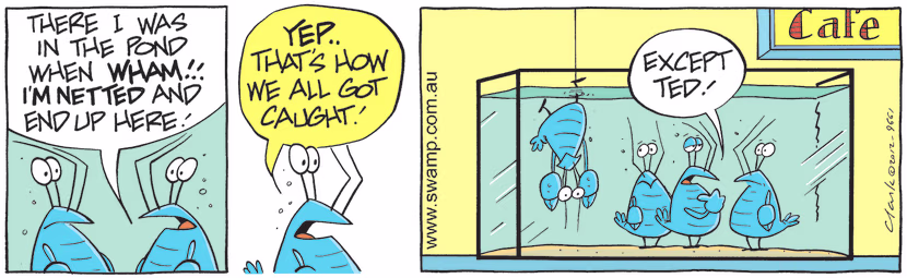 Bob Crayfish and his mates are talking about how they got caught and that one friend got caught differently. Swamp Cartoon - That One Crayfish FriendApril 13, 2021