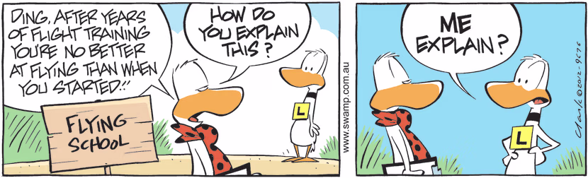 Ding Duck has had years of flight training with no improvement and his Flight Instructor wants him to explain. Swamp Cartoon - Years of Flight TrainingApril 20, 2021