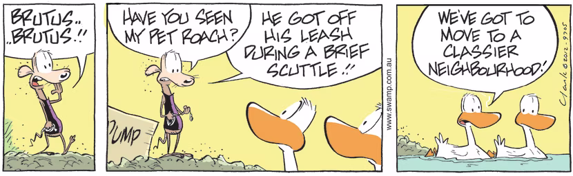 Chives Rat is searching for his pet cockroach Brutus who got off his leash after a scuttle. Swamp Cartoon - Brutus Cockroach ScuttleApril 27, 2021