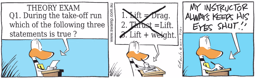 In the flight theory test, Ding Duck is considering the take-off run exam question regarding which of the multiple choice statements is true. Swamp Cartoon - Take-off Run Exam QuestionMay 6, 2021