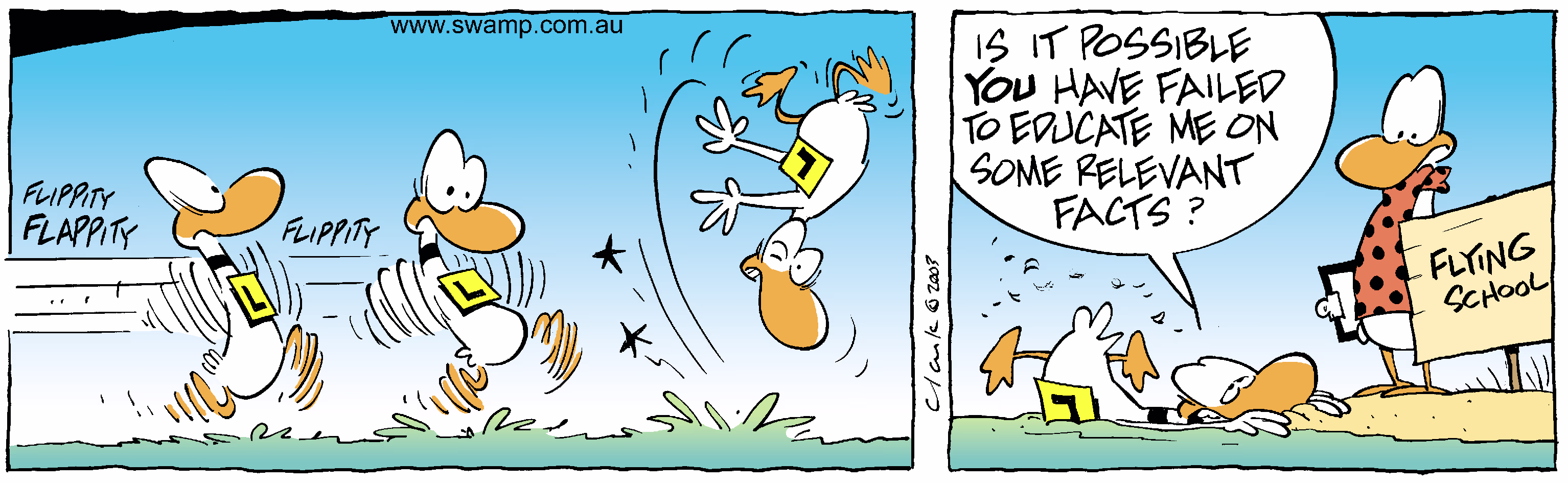 Relevant Facts Colour Cartoon