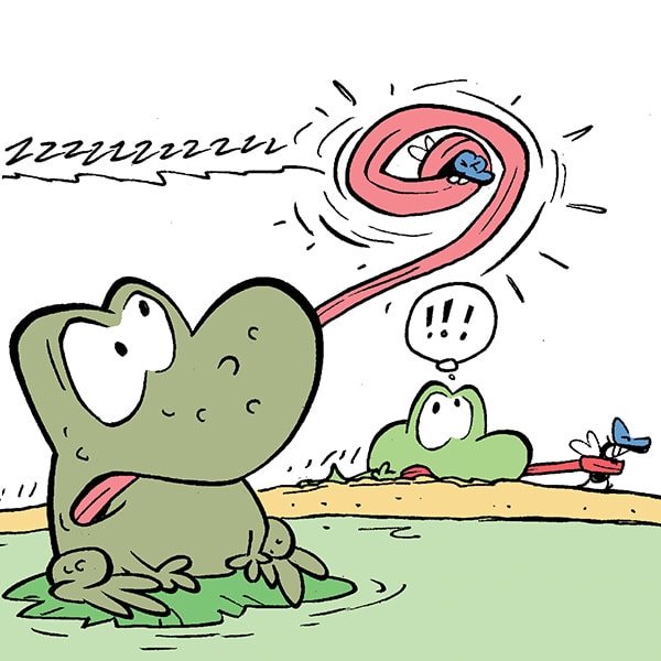 Swamp Cartoons by Gary Clark - Swamp Cartoons