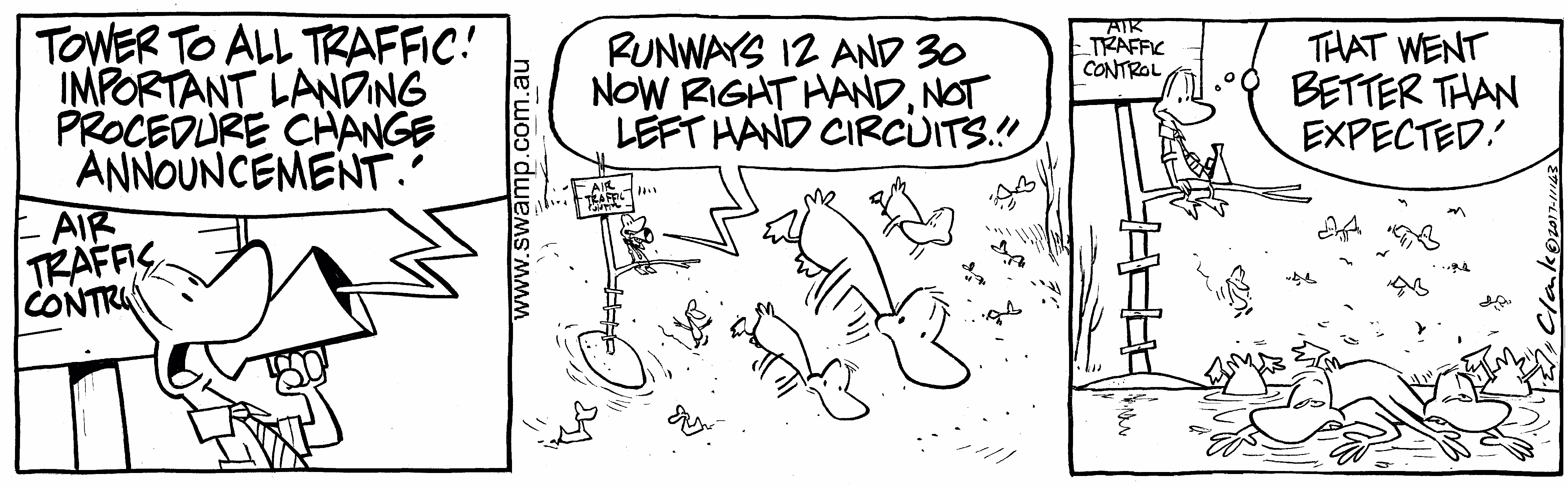 Landing Procedure Cartoon