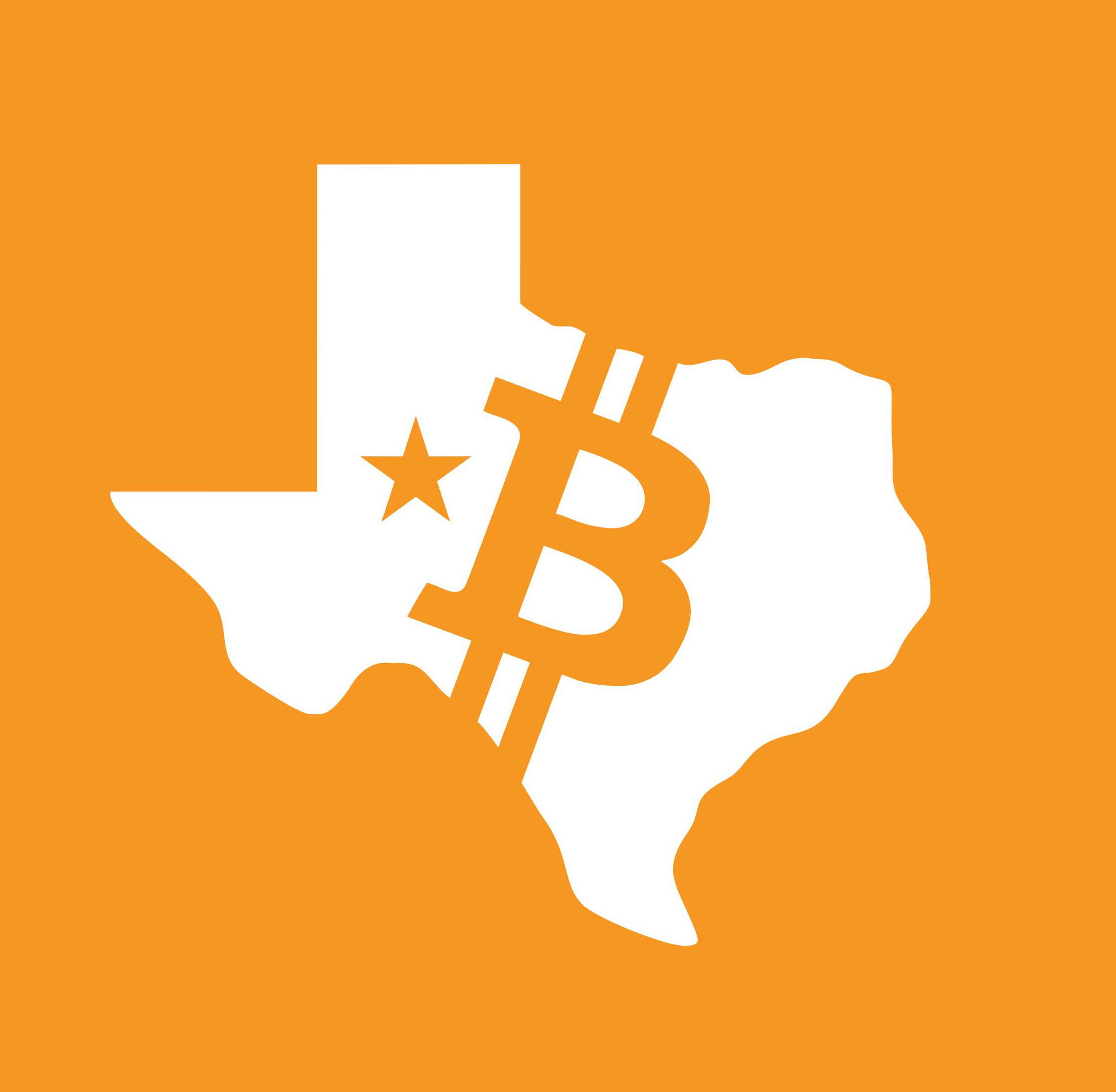 The Texas Bitcoin Project