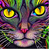 J F (Gattone)
