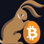 The Bitcoin Rabbit Hole