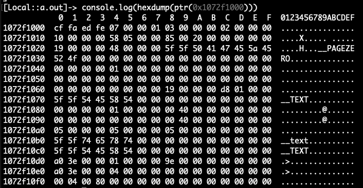 FRIDA basics - Frida HandBook