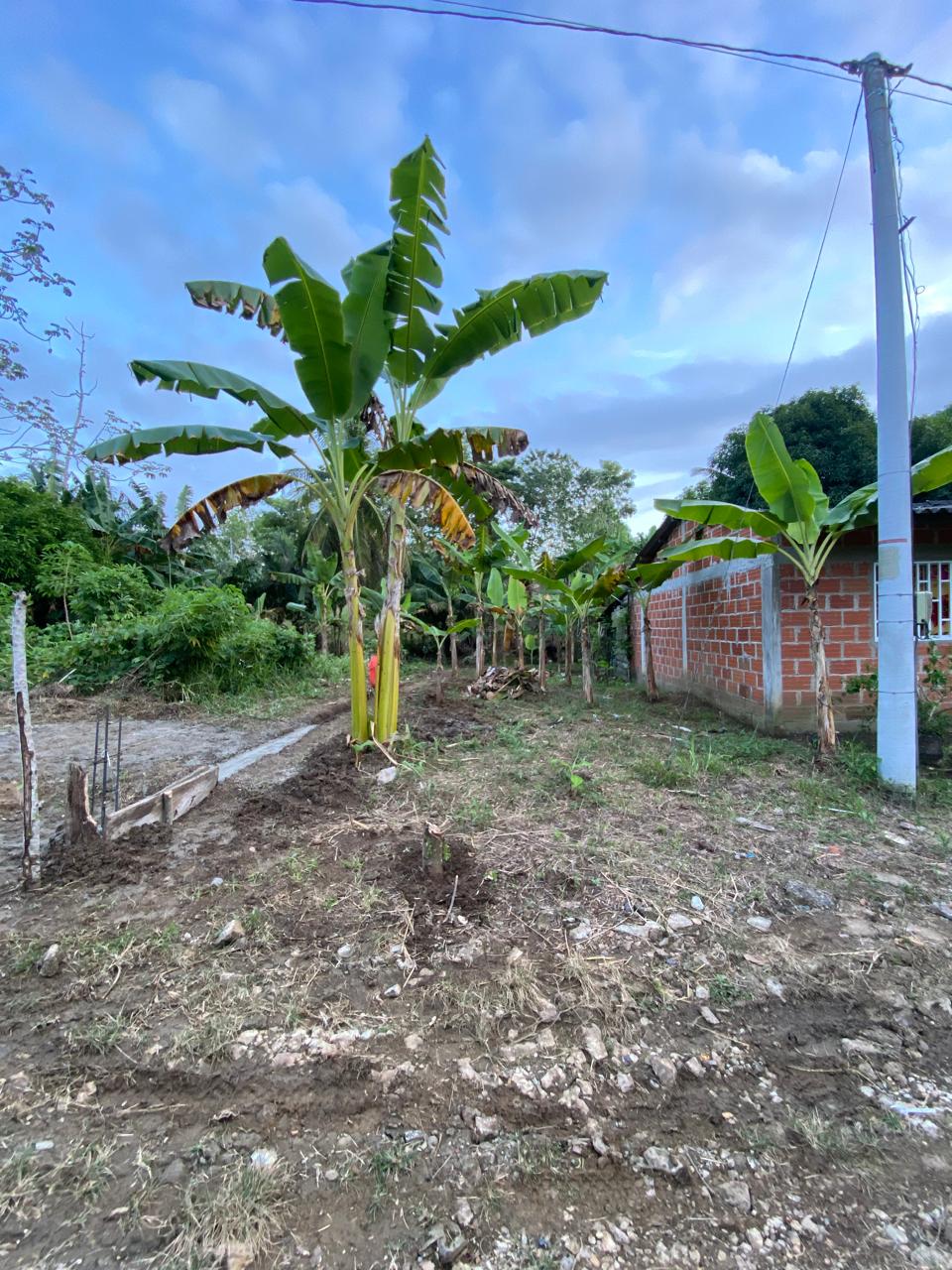 Foto 4 de Lote 6 x 28 en Barrio San Sebastian en Necoclí