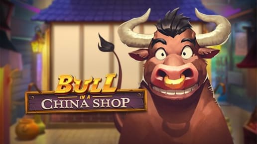 Bull in a China Shop