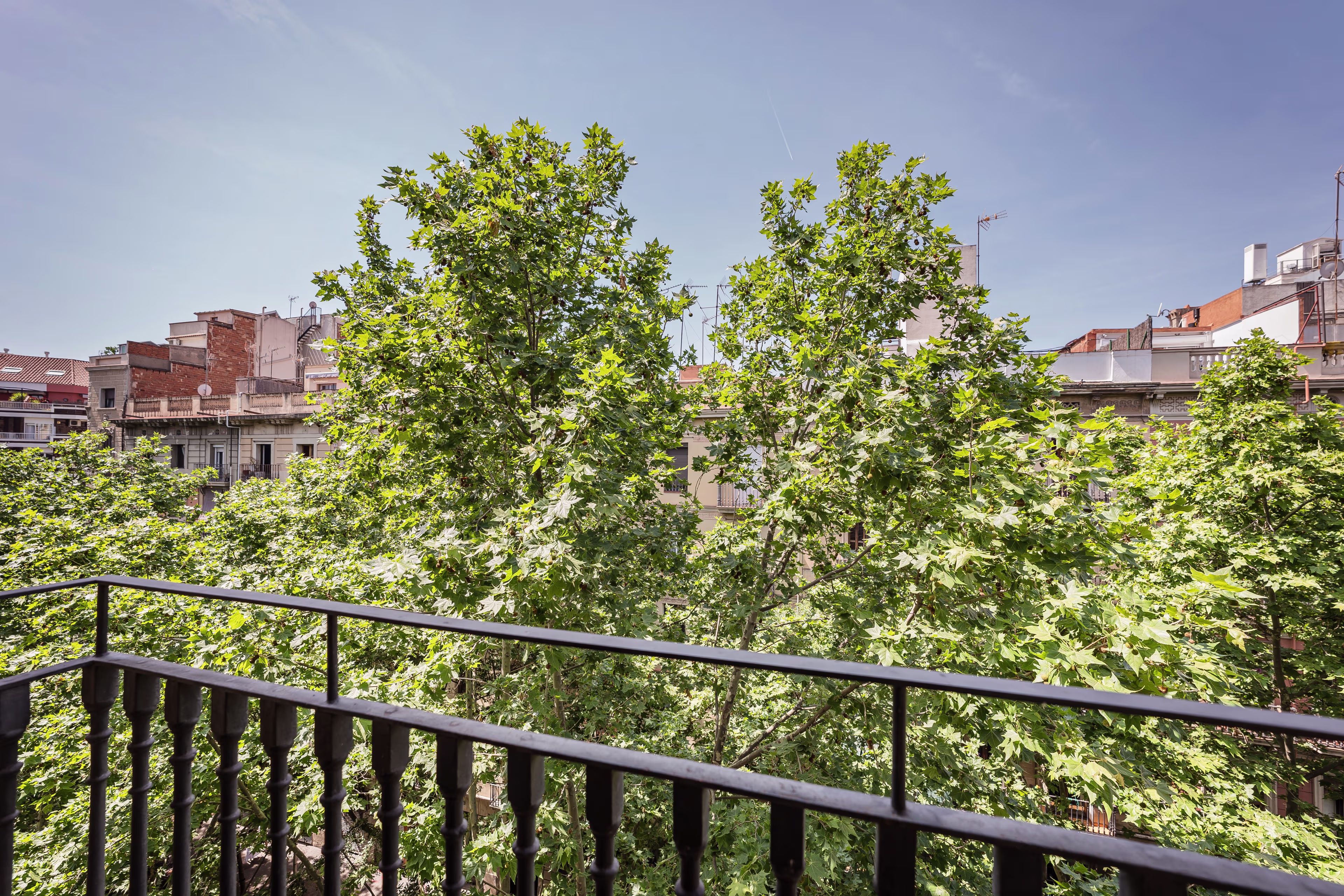 Villarroel 442 2