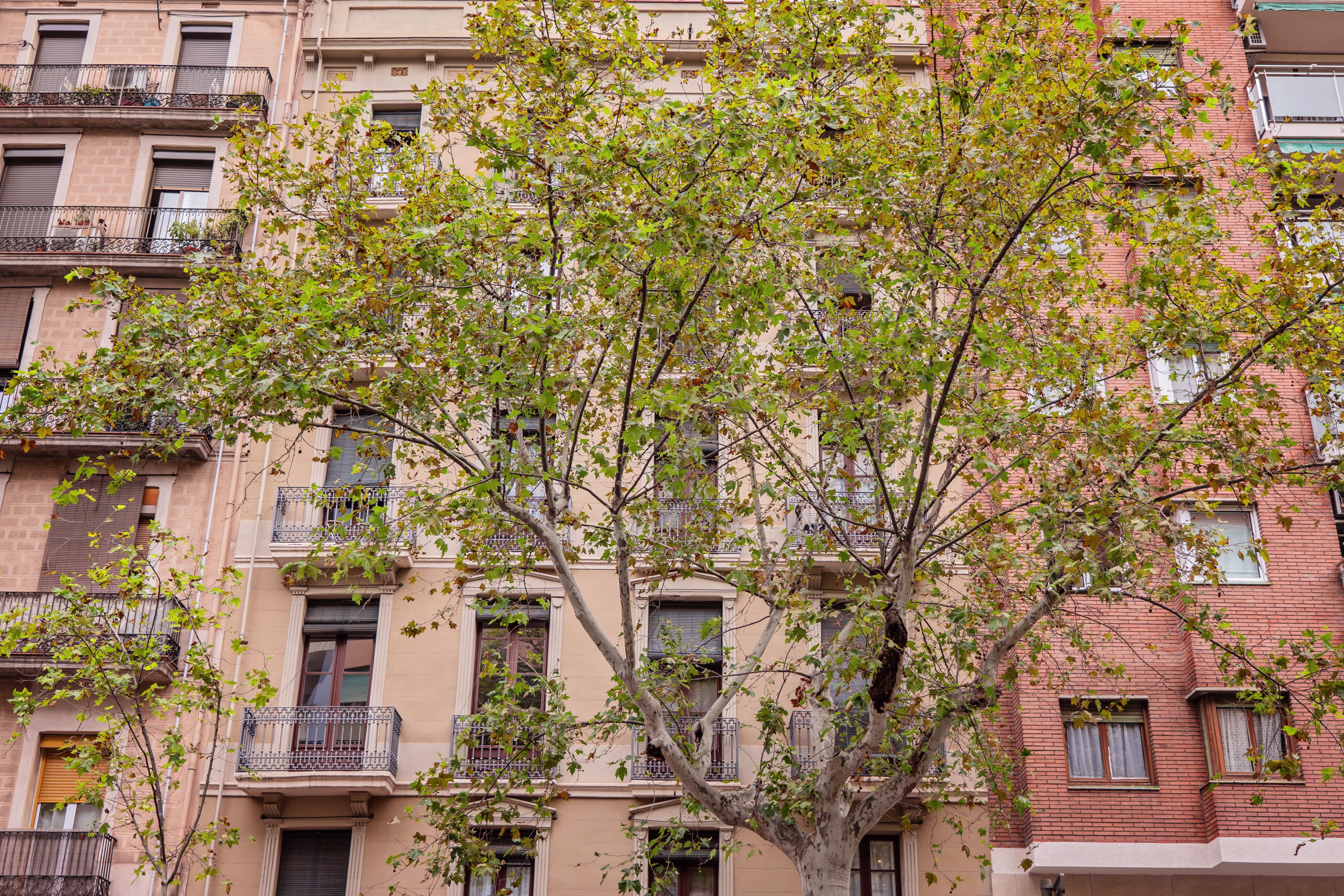 Urgell Principal 3 3