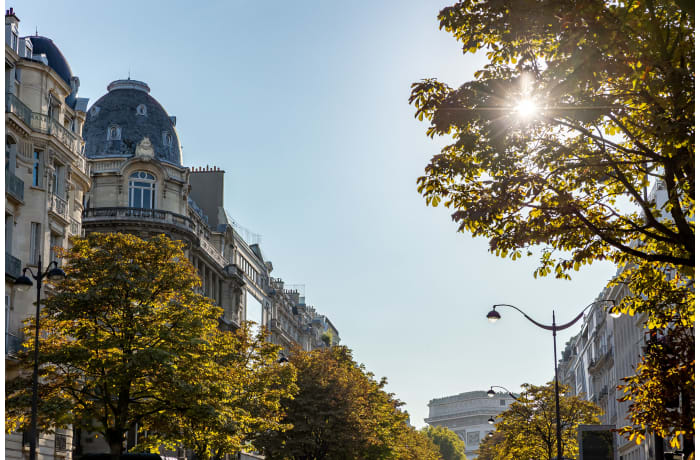 Apartment in Wagram Cosy, Champs-Elysées (8e) - 13