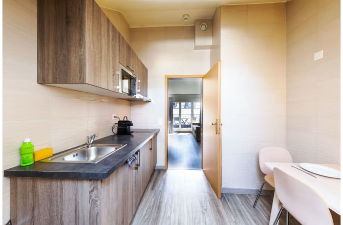 Apartment in Large 1-room apt top floor with balcony, Geneva-CityZen - 32