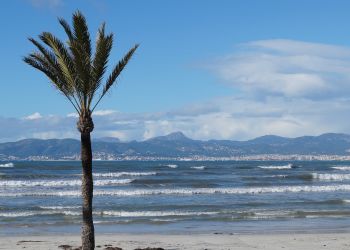 Corredores de seguros en Palma de Mallorca